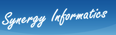 Synergy informatics web design hosting